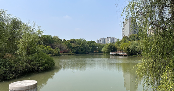 青岛啤酒节地址